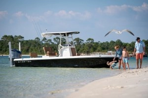 beached boat with family bird